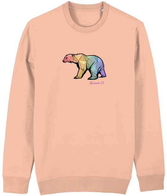 Rainbow Geo Bear