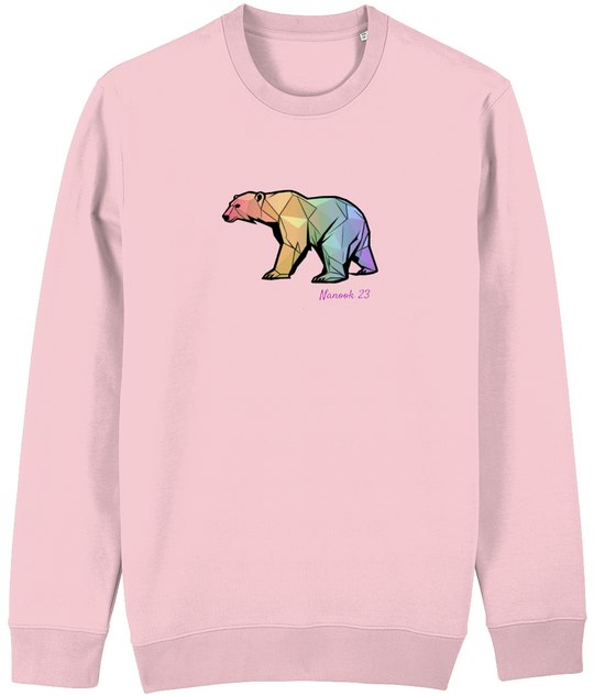 Rainbow Geo Bear